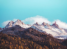 彩票走势图-苟仲文：全面推动三大球发展 打造能征善战国家队